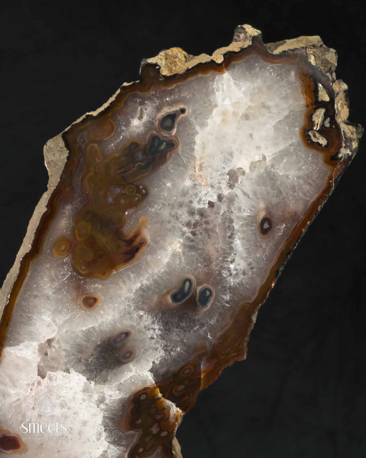 Specimens from Brazil