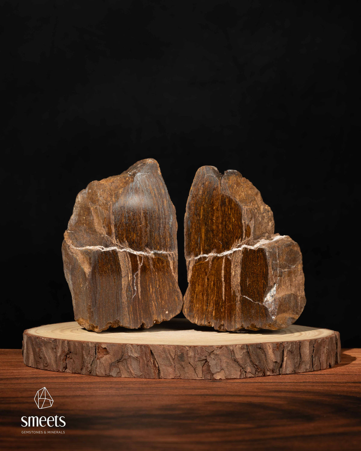 Brazilian Bronzite Split Pair – One Face Polished