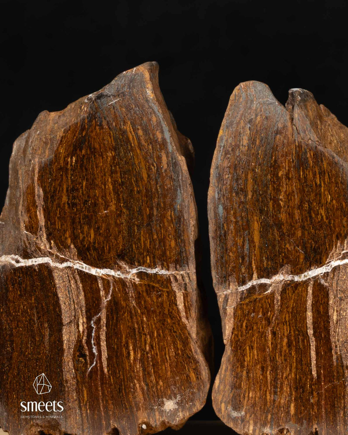 Brazilian Bronzite Split Pair – One Face Polished