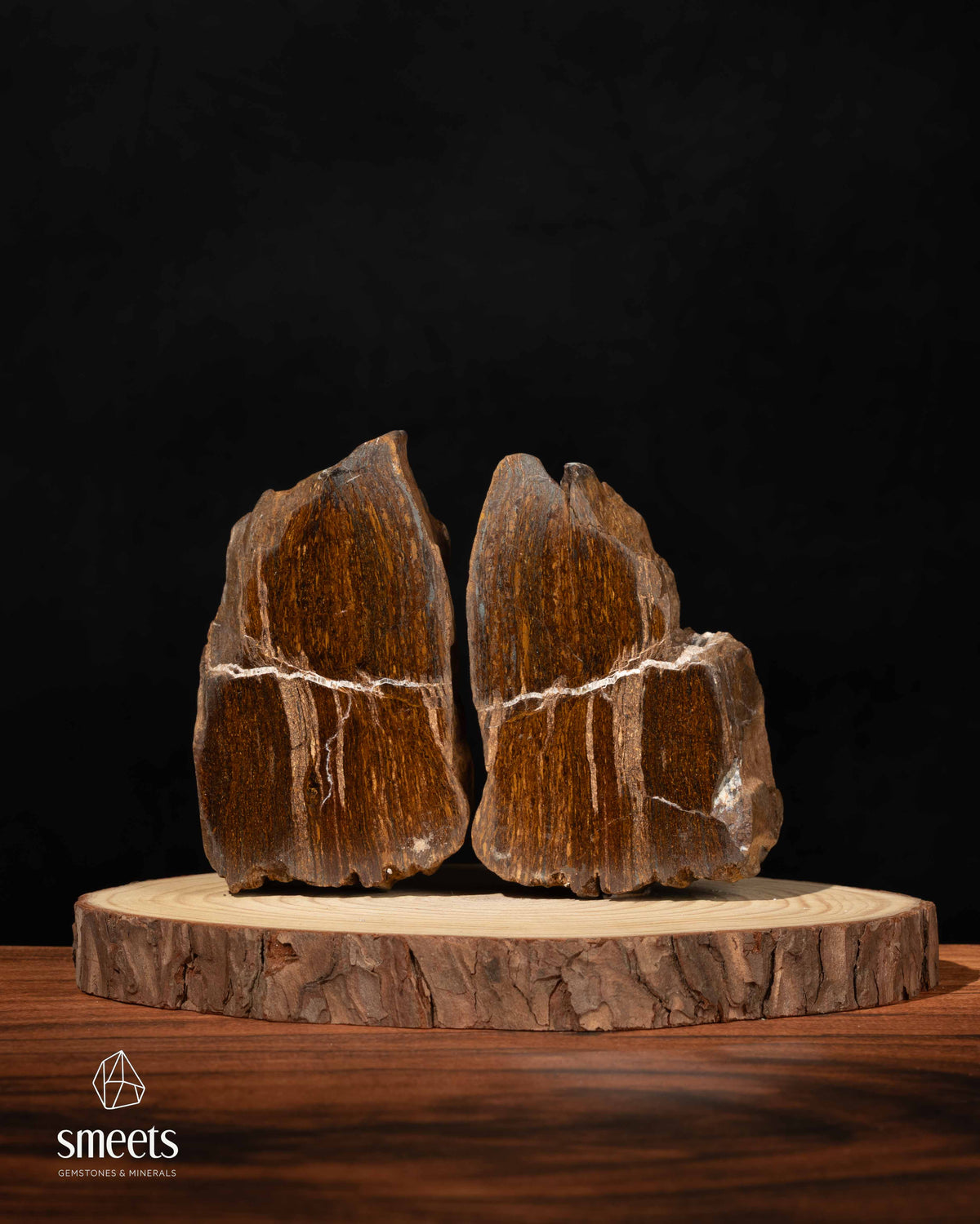 Brazilian Bronzite Split Pair – One Face Polished