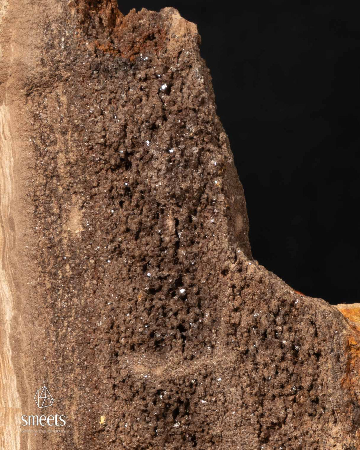 Sculptural Indonesian Crystal Wood with Dark Crystal Formation