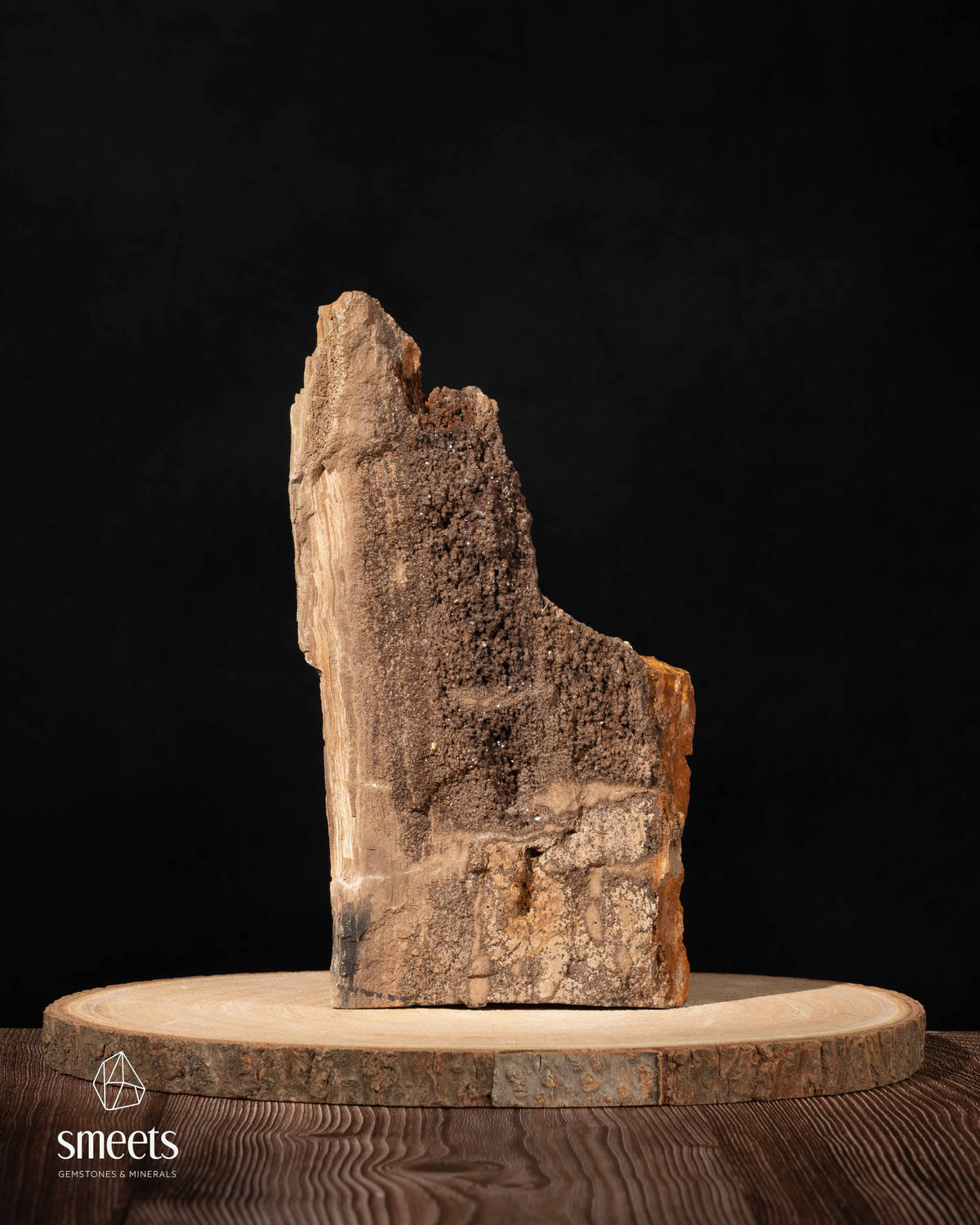 Sculptural Indonesian Crystal Wood with Dark Crystal Formation