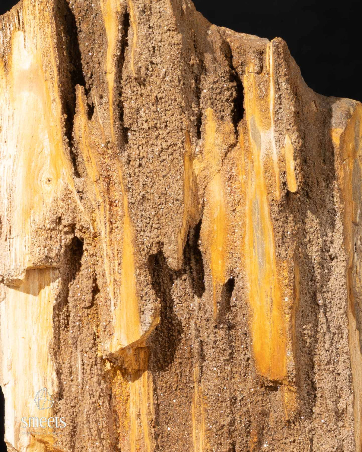 Indonesian Crystal Wood with Golden Tones and Natural Crystallisation
