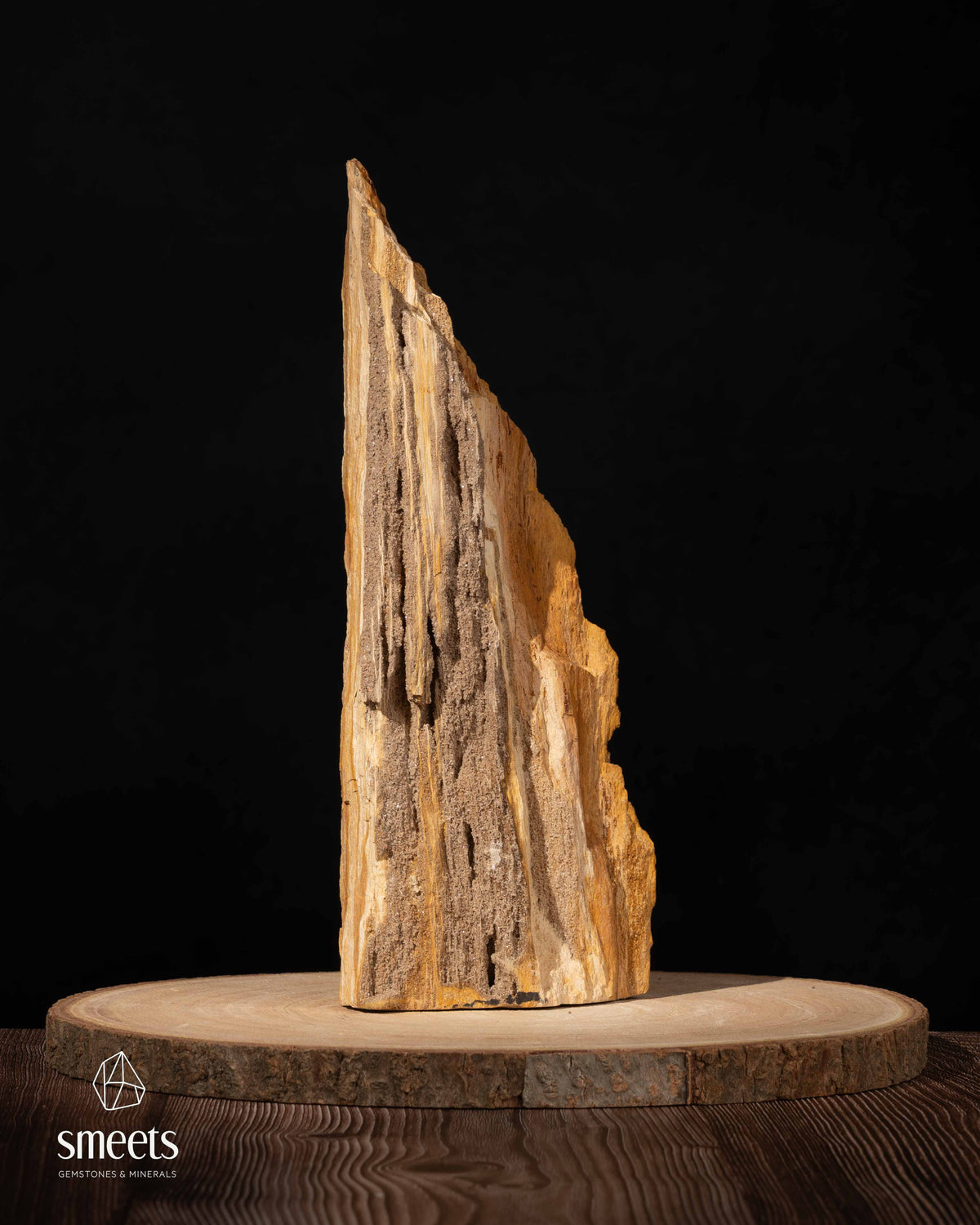 Indonesian Crystal Wood – Petrified Wood with Druzy Quartz