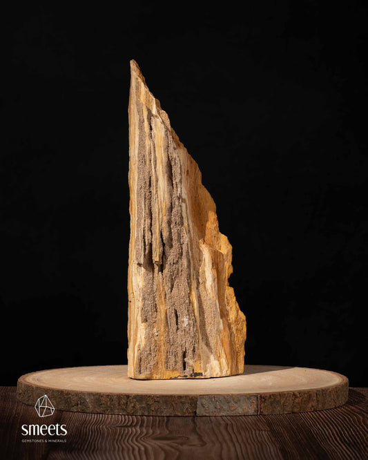 Indonesian Crystal Wood – Petrified Wood with Druzy Quartz