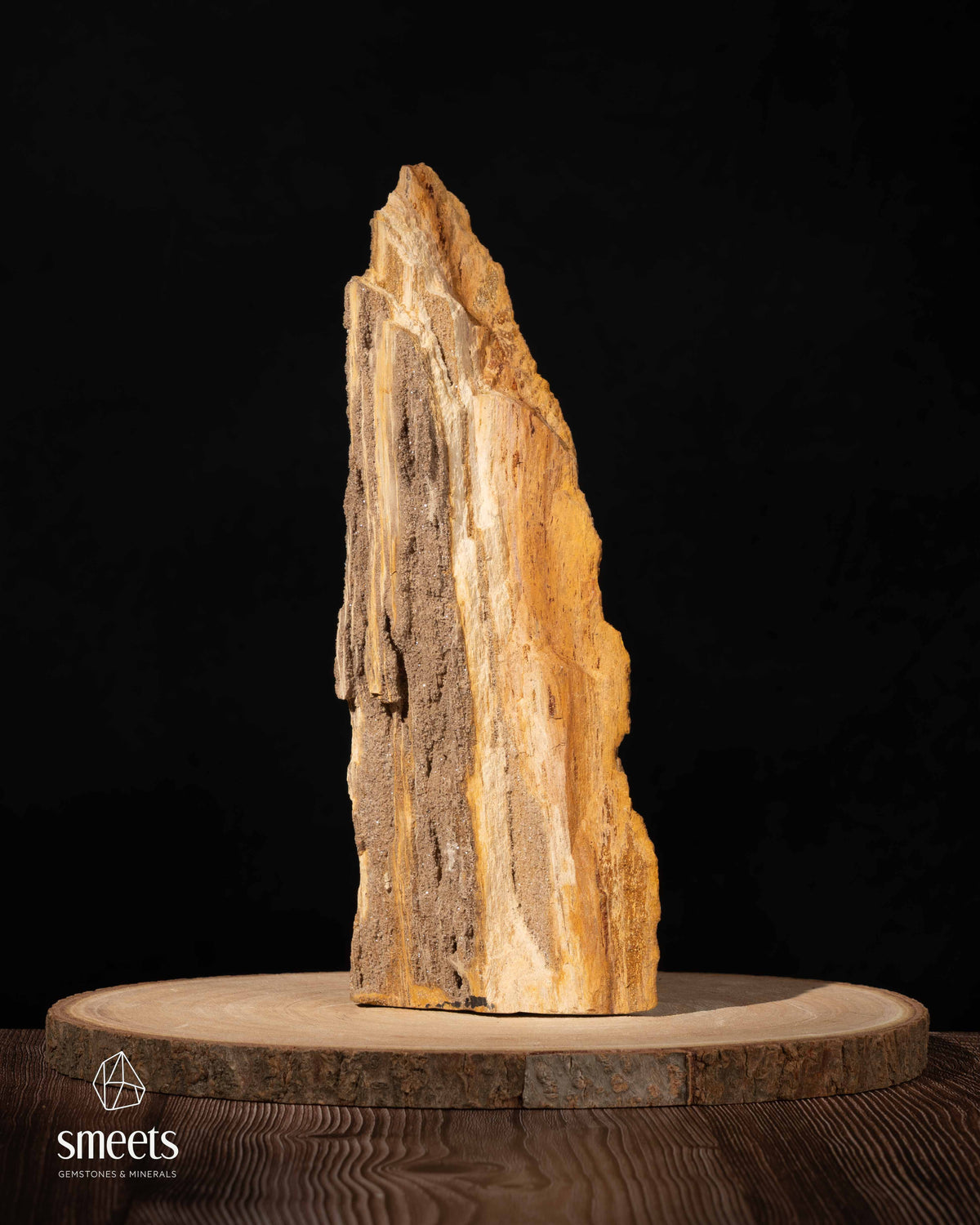 Indonesian Crystal Wood – Petrified Wood with Druzy Quartz