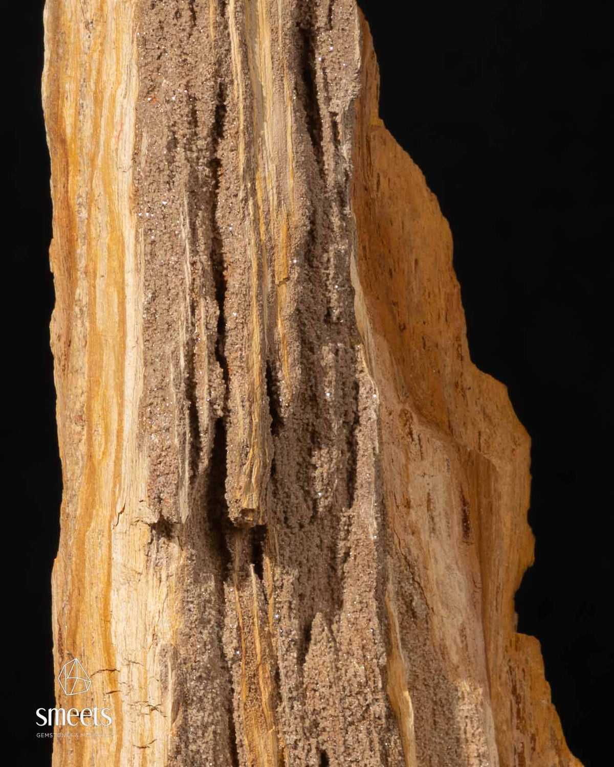 Indonesian Crystal Wood – Petrified Wood with Druzy Quartz