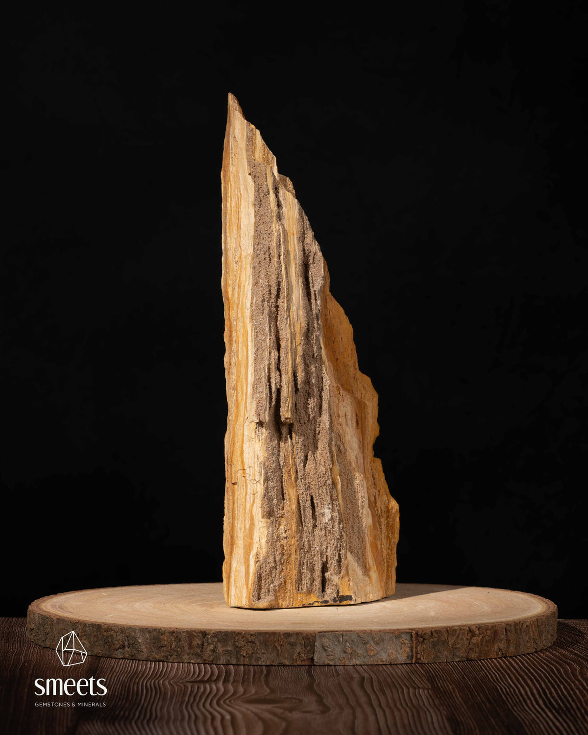 Indonesian Crystal Wood – Petrified Wood with Druzy Quartz