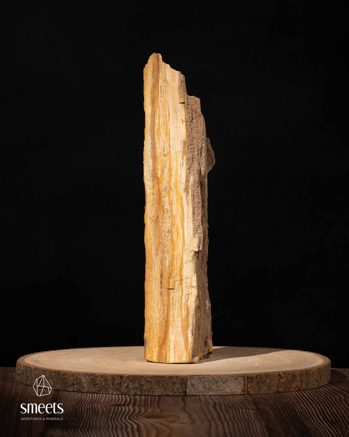 Indonesian Crystal Wood – Petrified Wood with Druzy Quartz