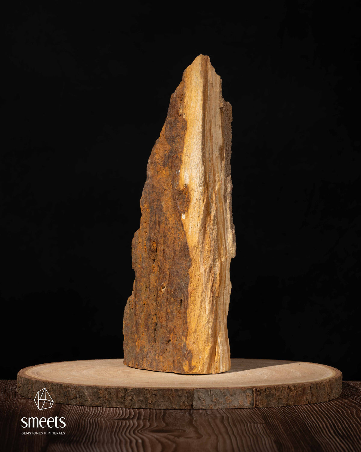 Indonesian Crystal Wood – Petrified Wood with Druzy Quartz