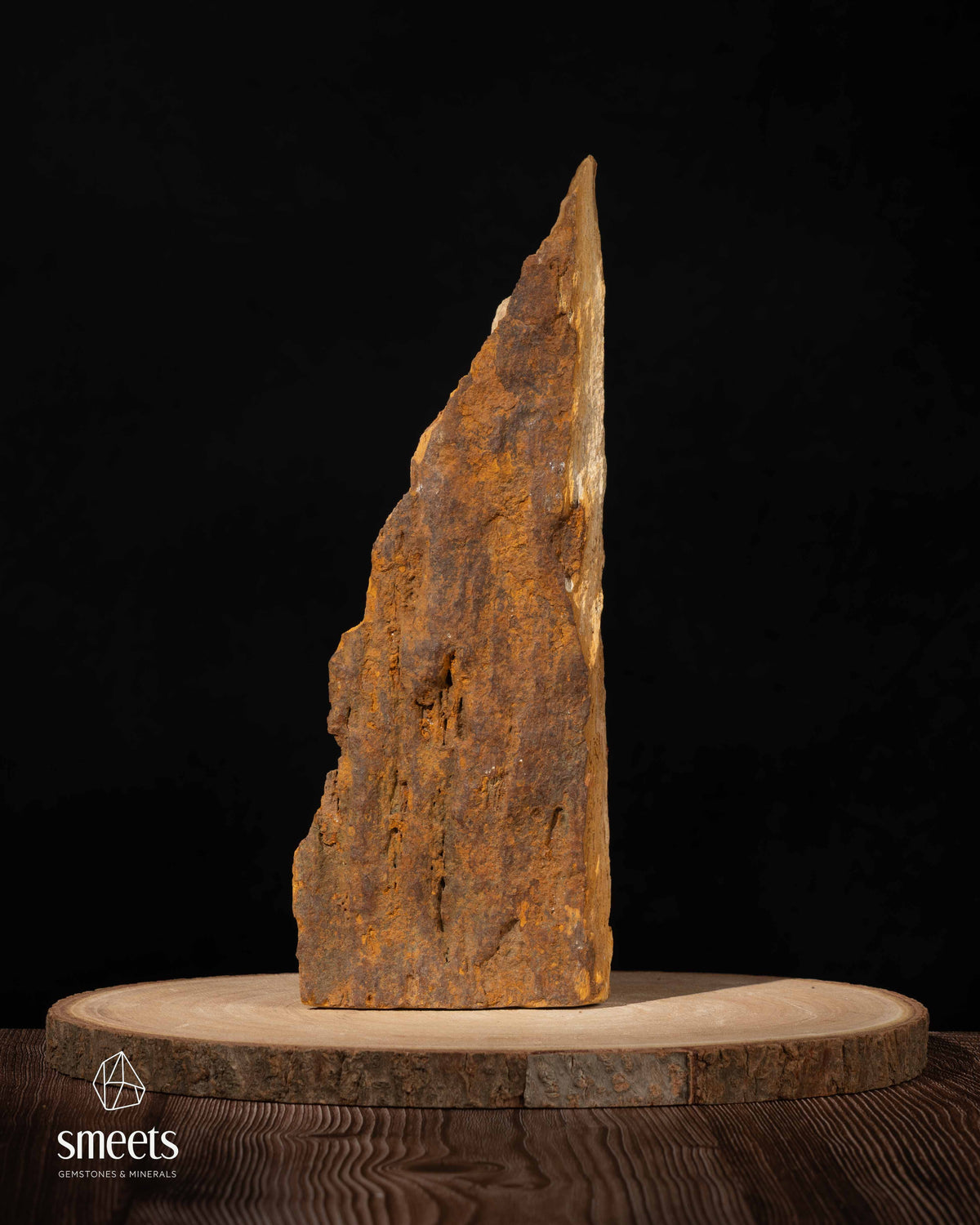 Indonesian Crystal Wood – Petrified Wood with Druzy Quartz