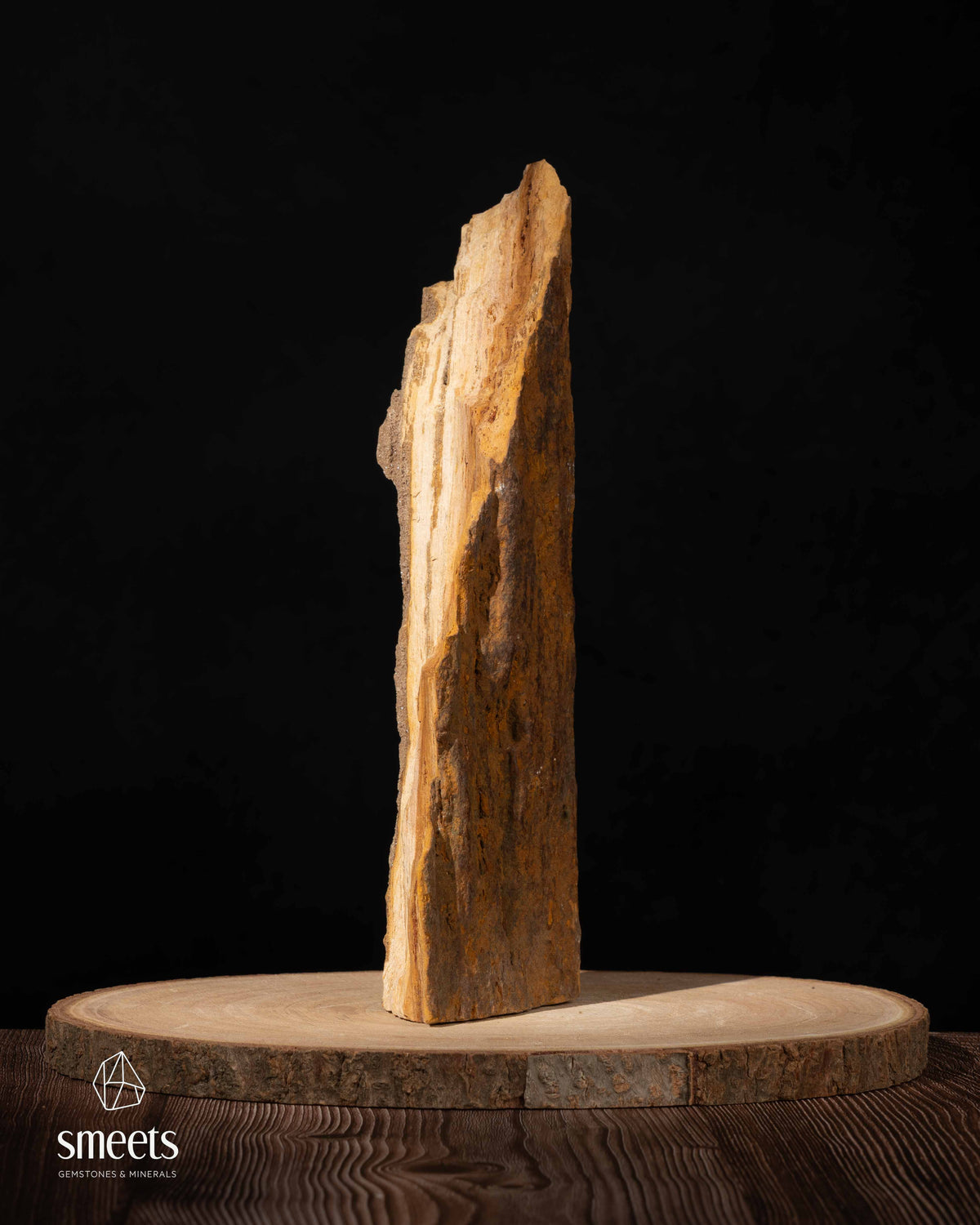 Indonesian Crystal Wood – Petrified Wood with Druzy Quartz