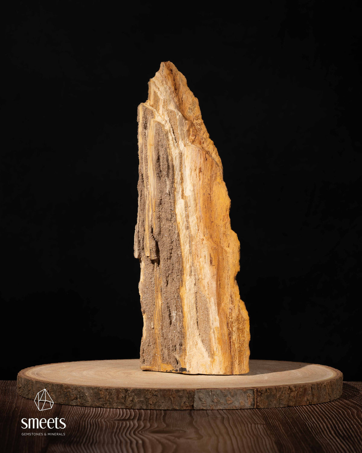 Indonesian Crystal Wood – Petrified Wood with Druzy Quartz