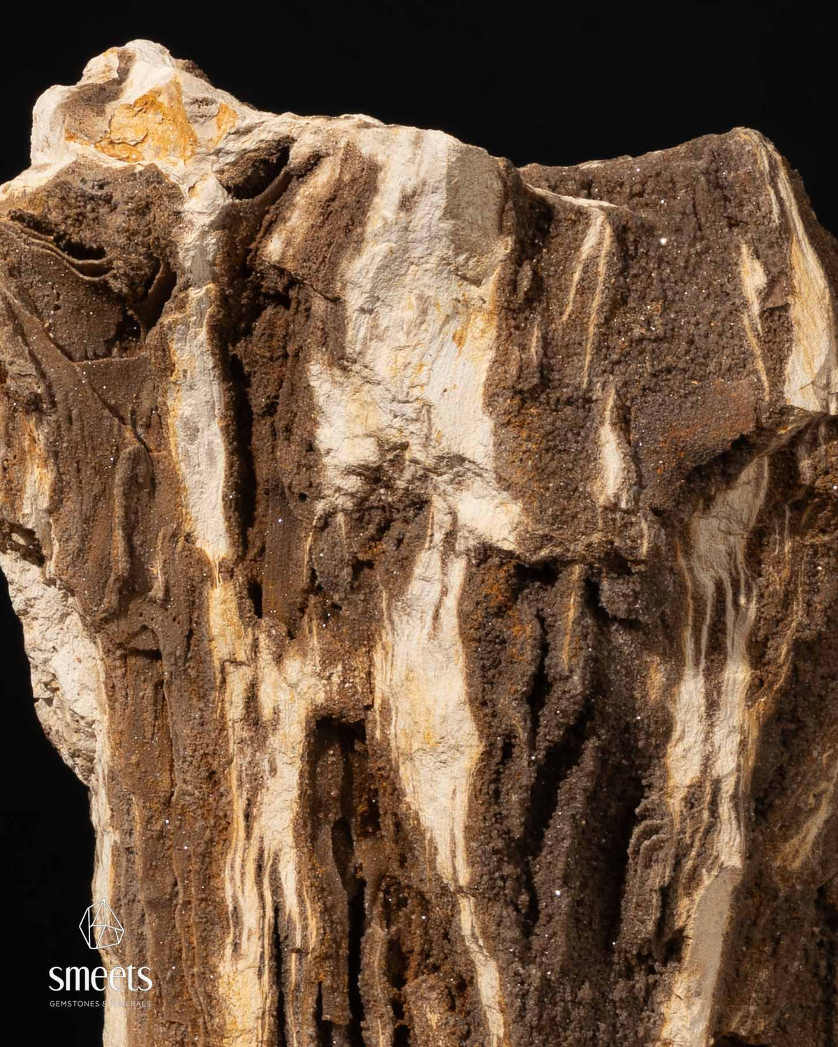 Indonesian Crystal Wood – Petrified Wood with Druzy Quartz