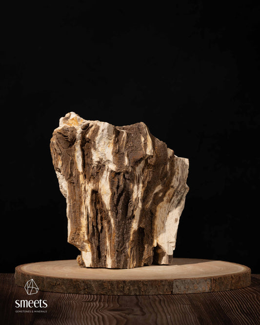 Indonesian Crystal Wood – Petrified Wood with Druzy Quartz