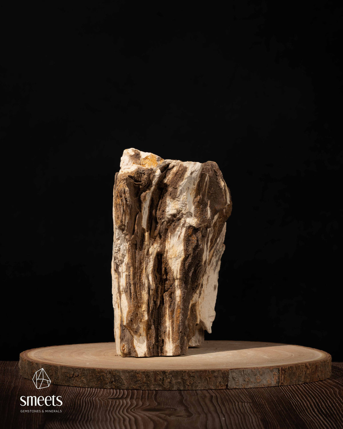 Indonesian Crystal Wood – Petrified Wood with Druzy Quartz