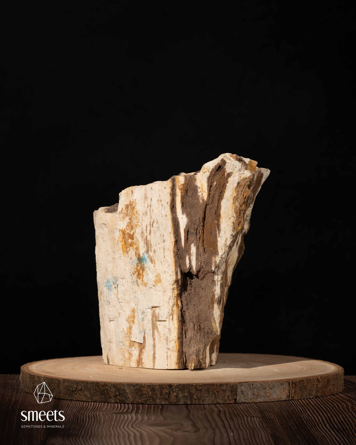 Indonesian Crystal Wood – Petrified Wood with Druzy Quartz