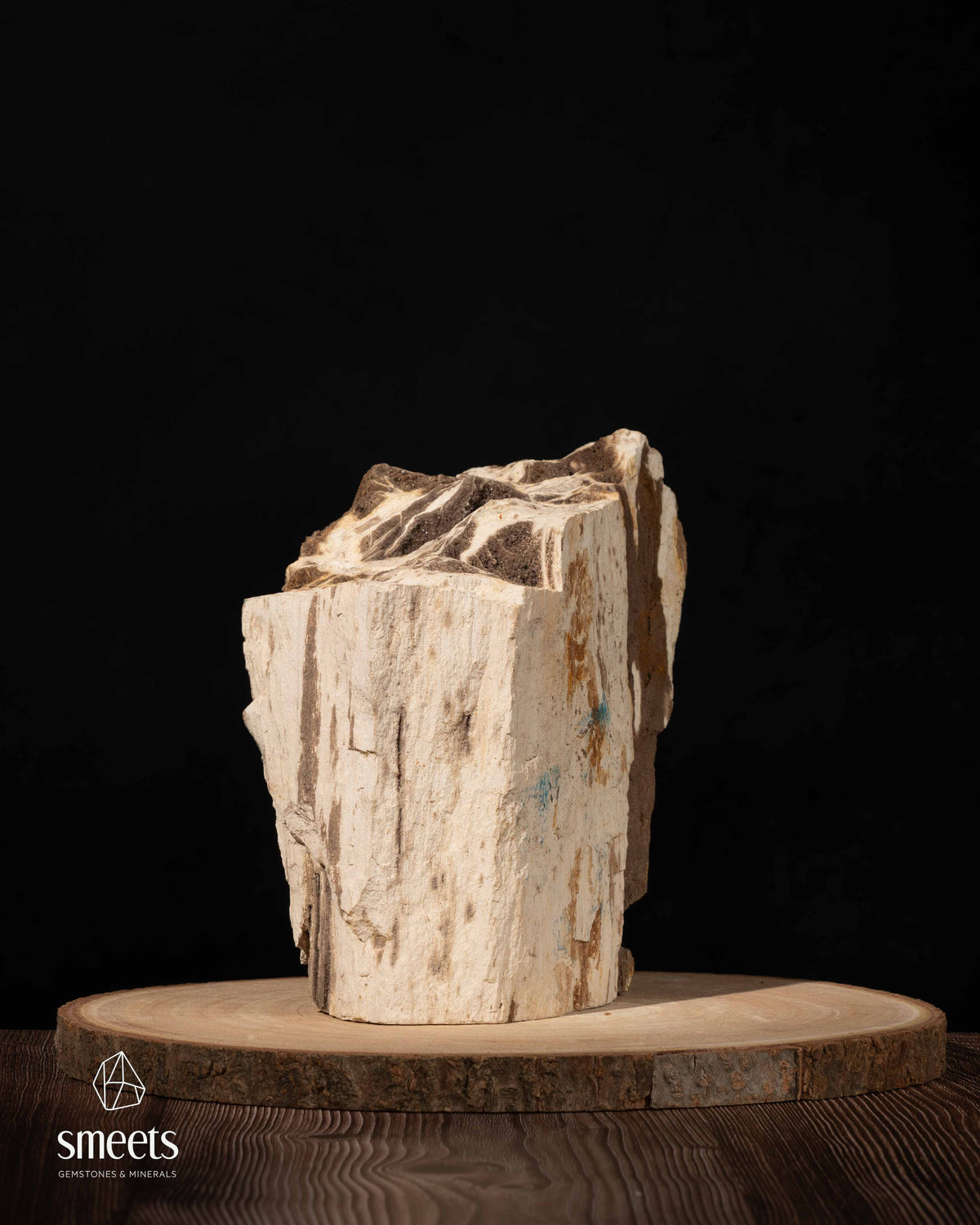 Indonesian Crystal Wood – Petrified Wood with Druzy Quartz
