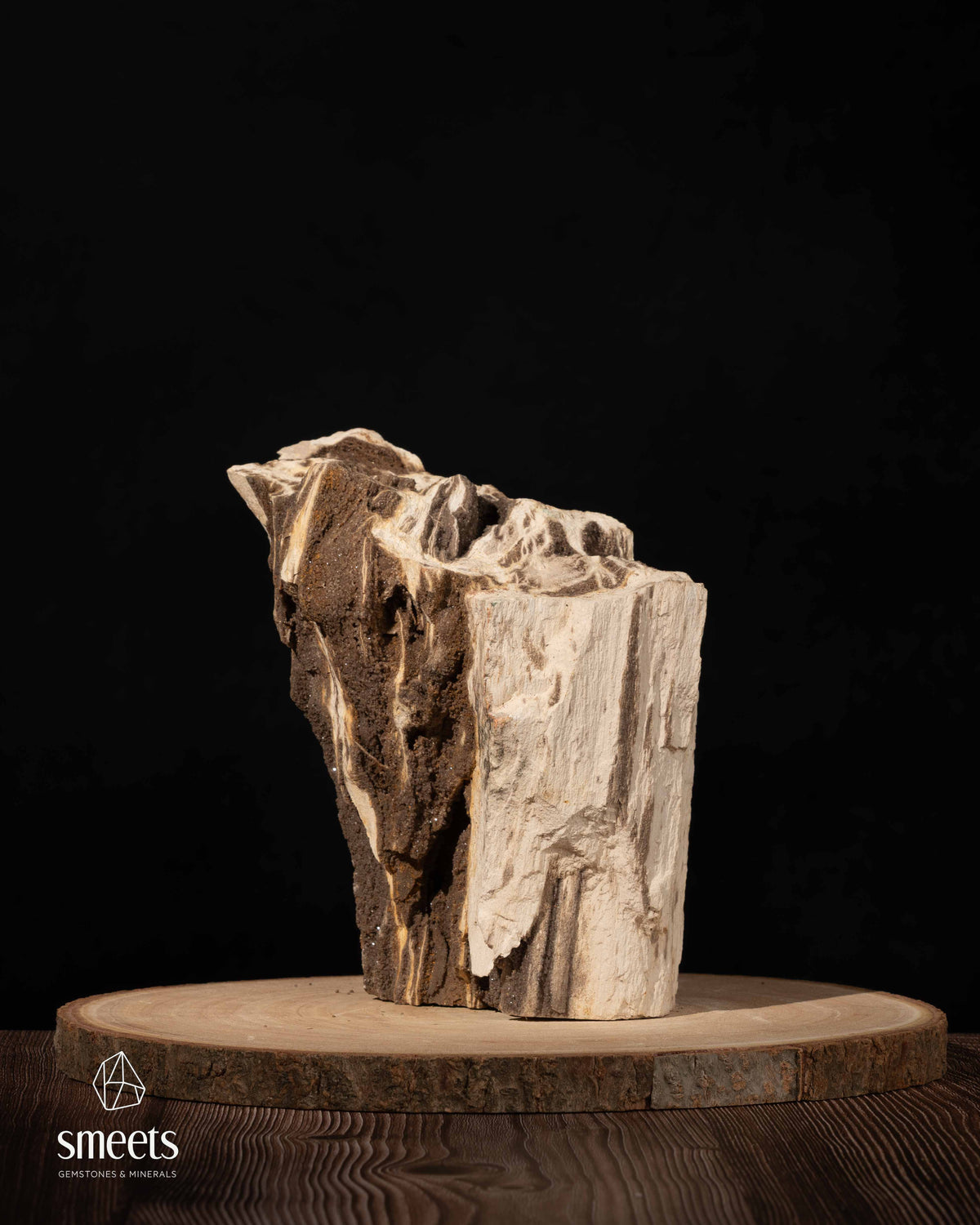 Indonesian Crystal Wood – Petrified Wood with Druzy Quartz