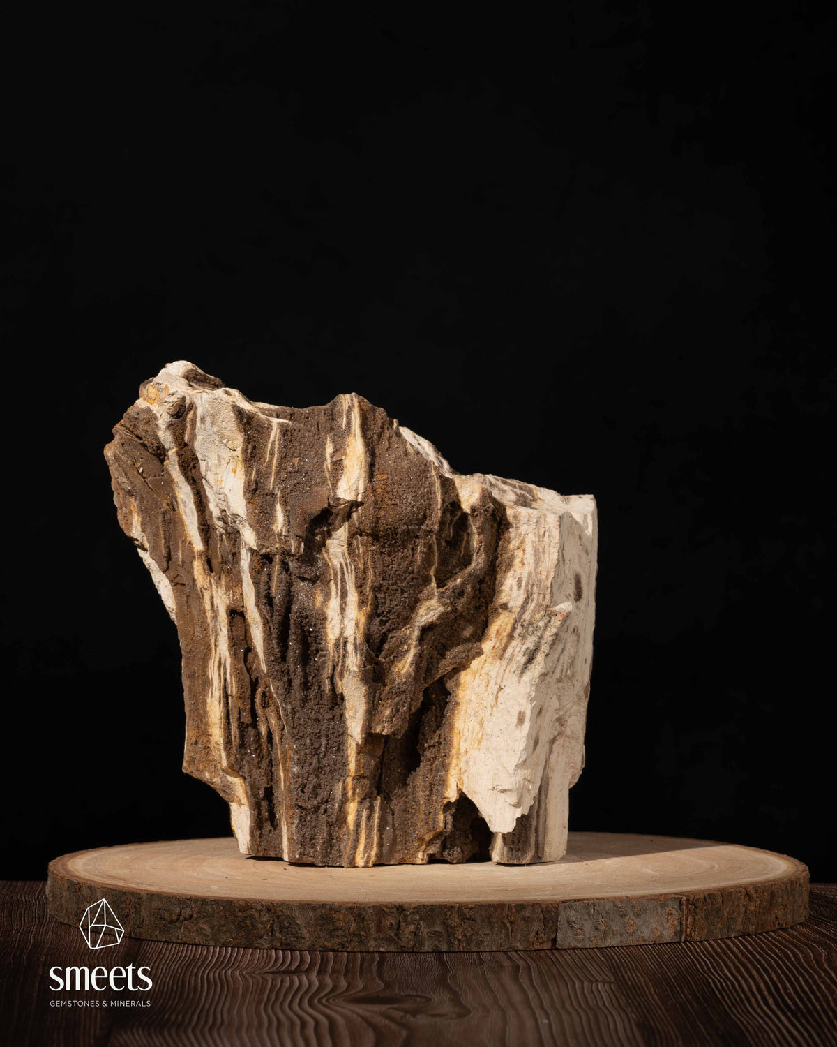 Indonesian Crystal Wood – Petrified Wood with Druzy Quartz