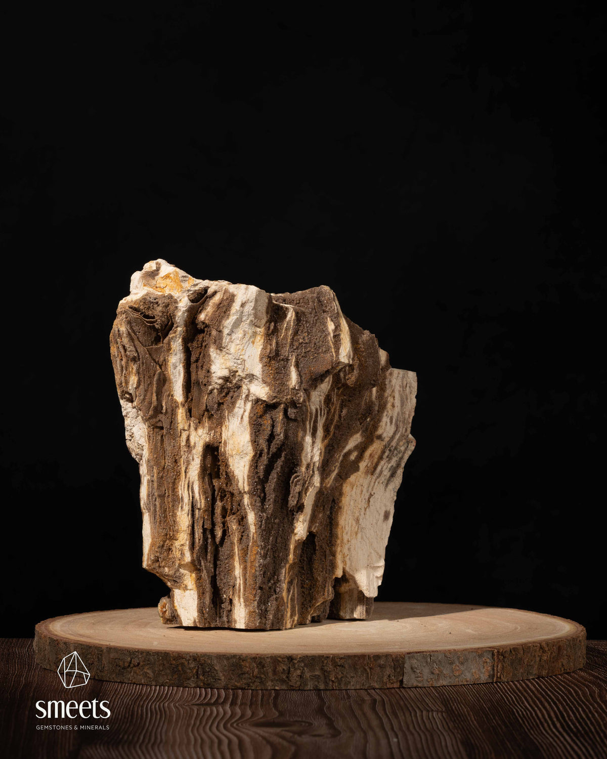 Indonesian Crystal Wood – Petrified Wood with Druzy Quartz