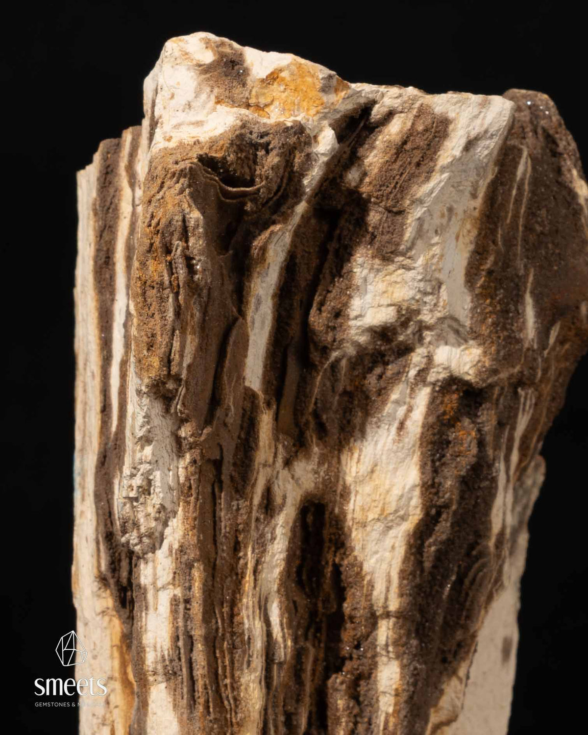 Indonesian Crystal Wood – Petrified Wood with Druzy Quartz
