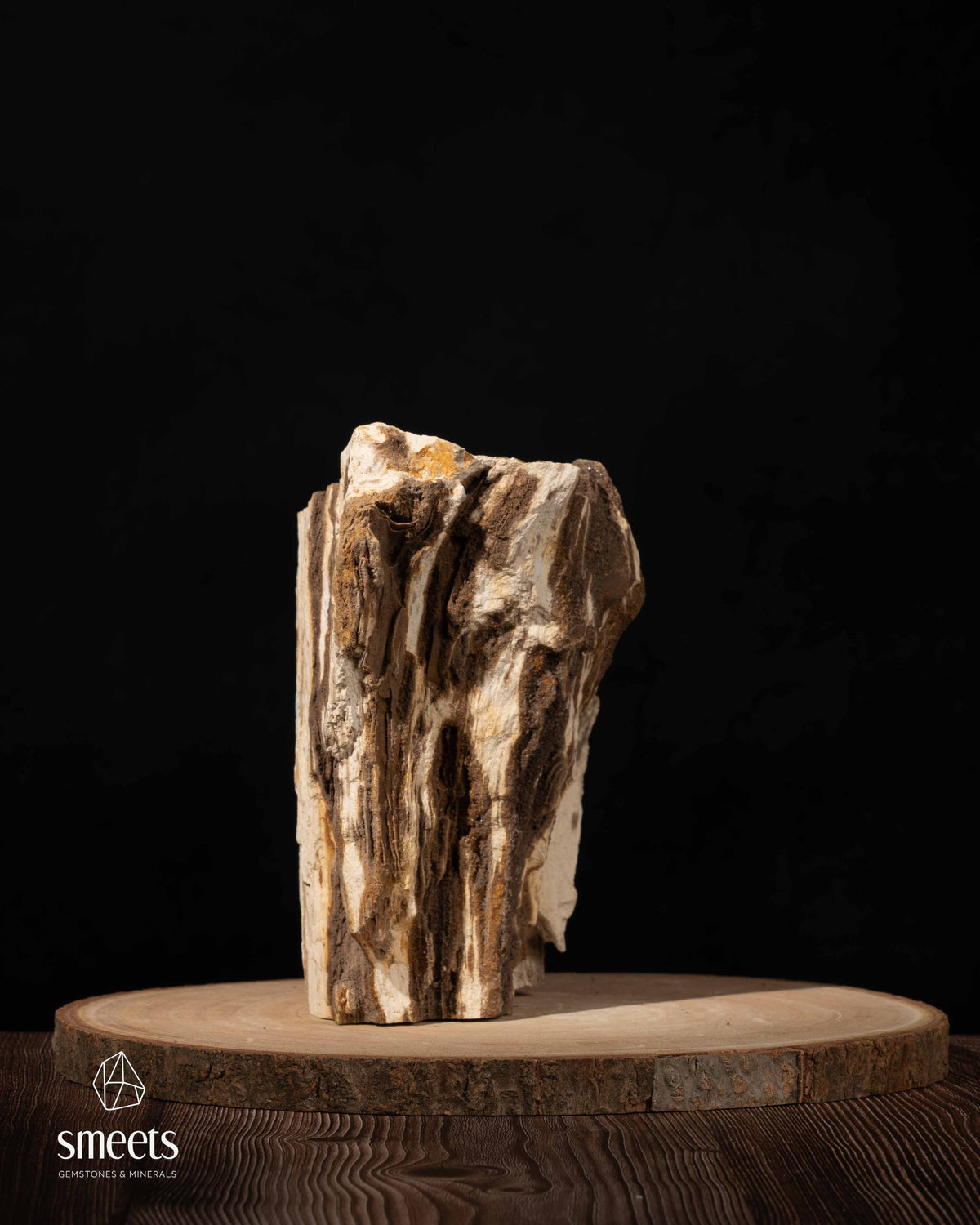 Indonesian Crystal Wood – Petrified Wood with Druzy Quartz