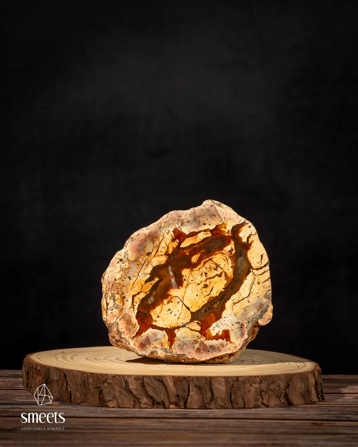 Mexican Thunderegg Agate Nodule – One Face Polished