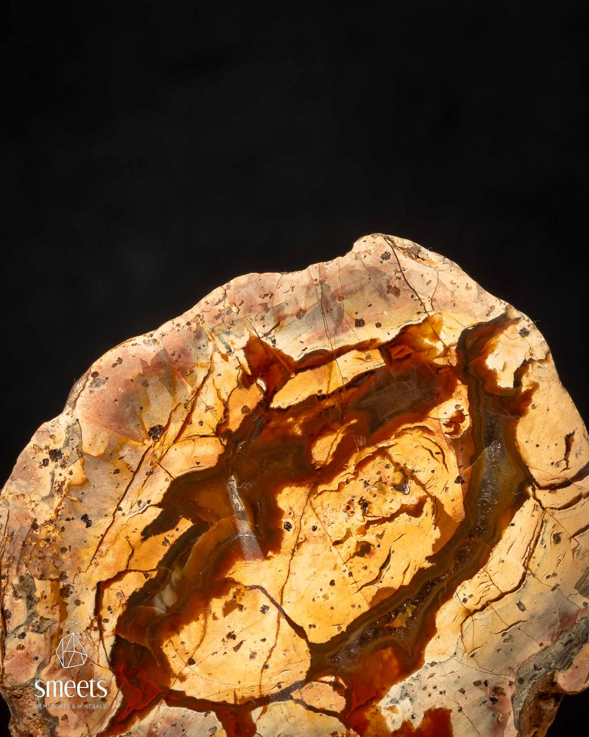 Mexican Thunderegg Agate Nodule – One Face Polished