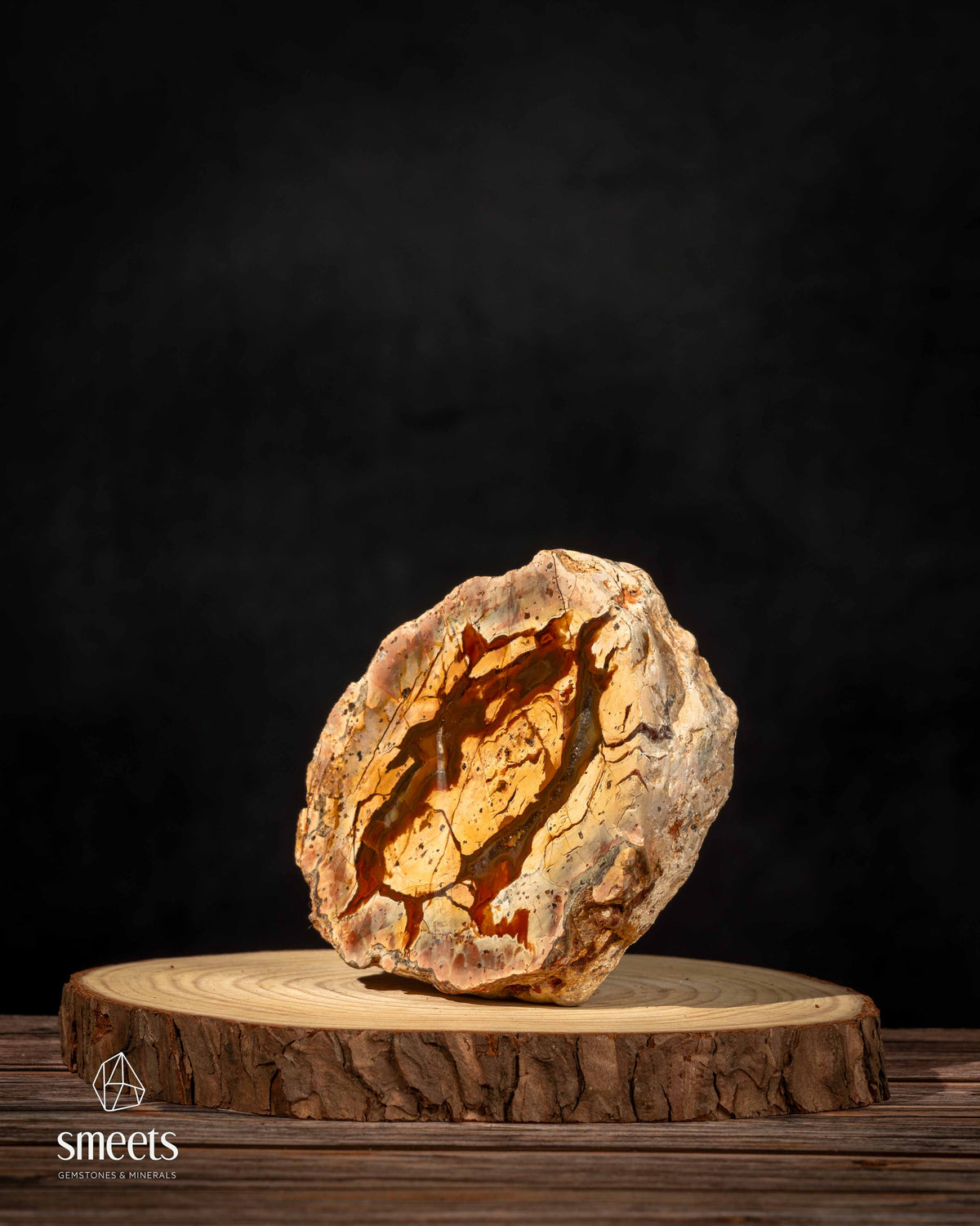 Mexican Thunderegg Agate Nodule – One Face Polished
