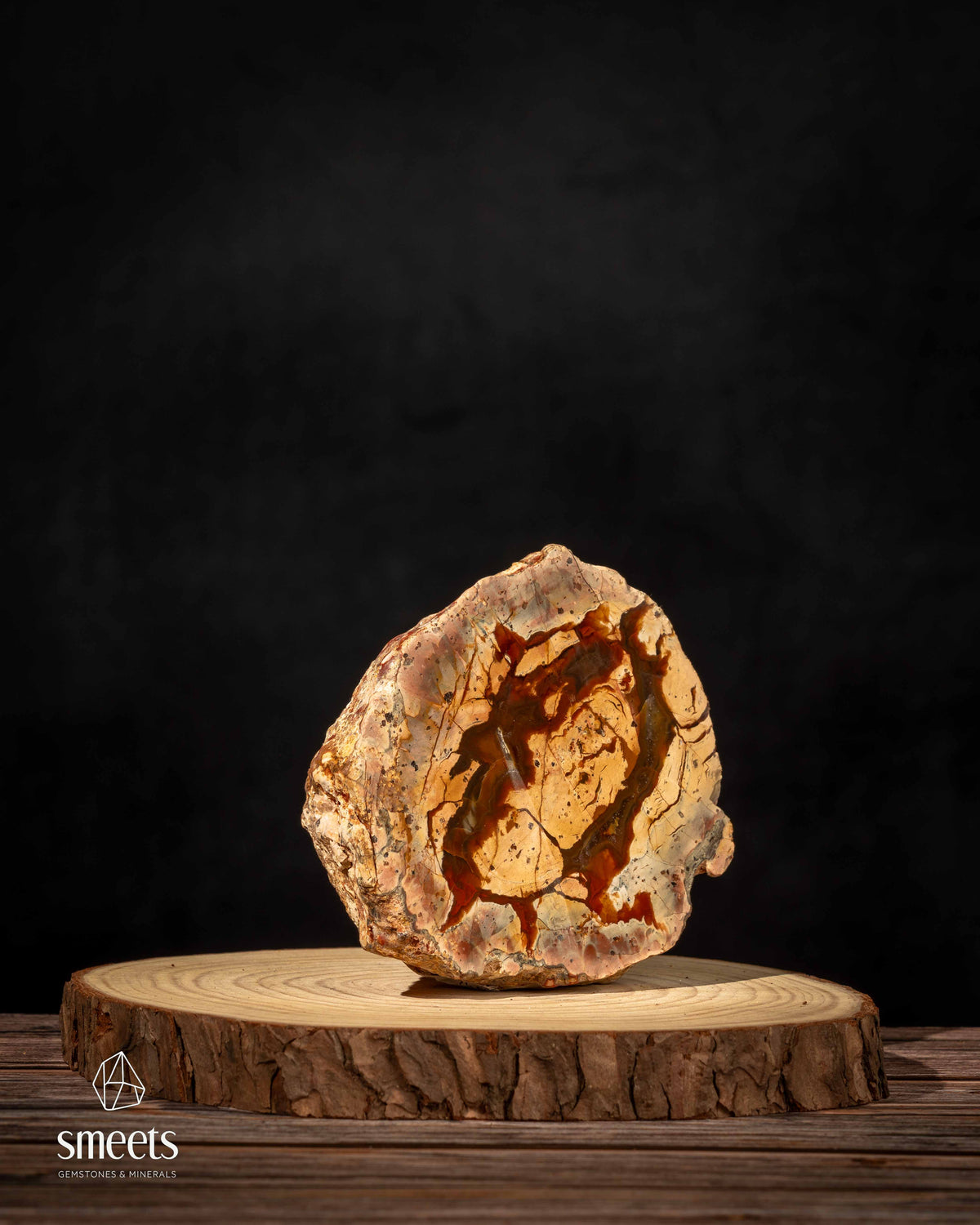 Mexican Thunderegg Agate Nodule – One Face Polished
