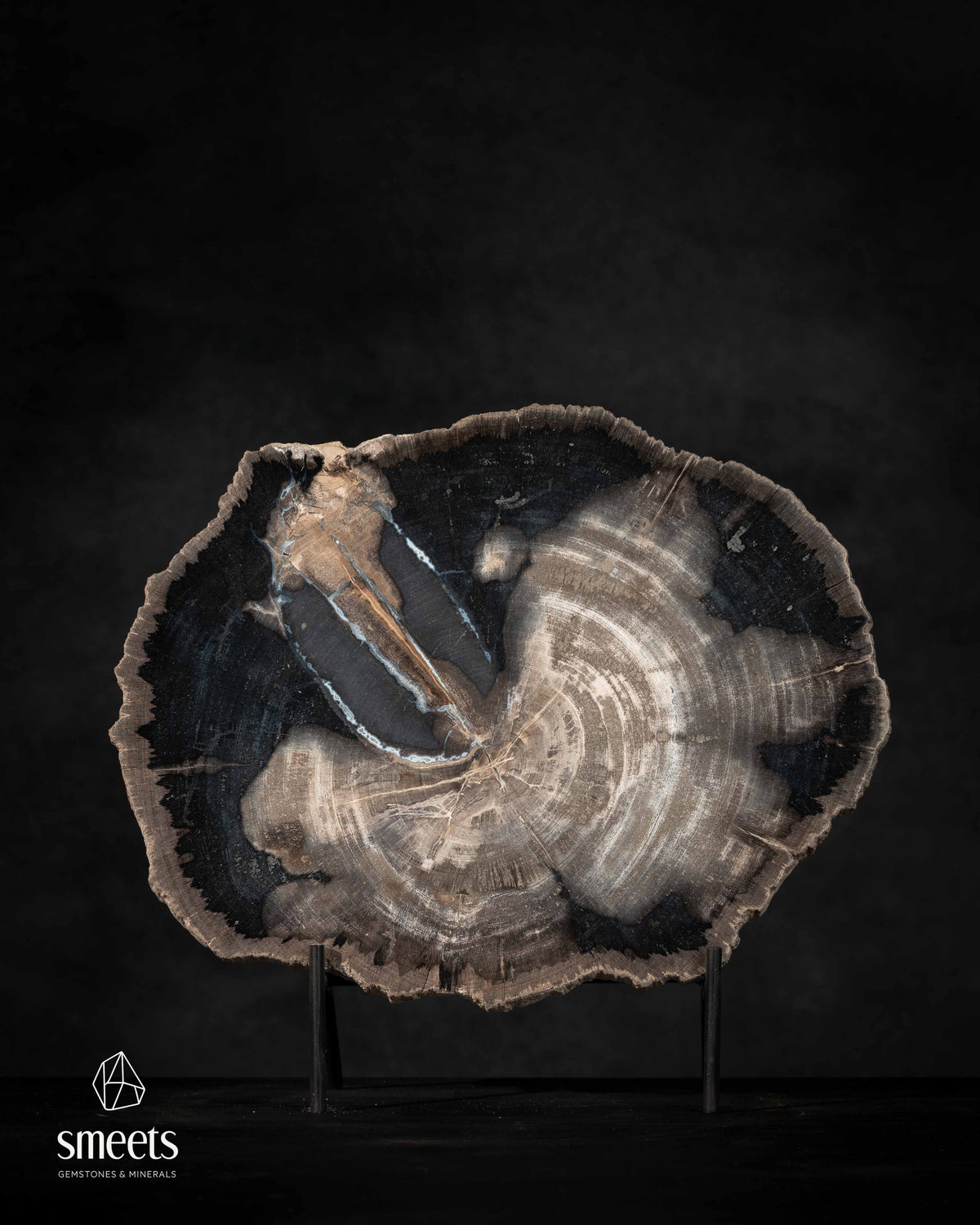 Indonesian Petrified Wood Slice with Black Mineral Patterns and Raw Edge