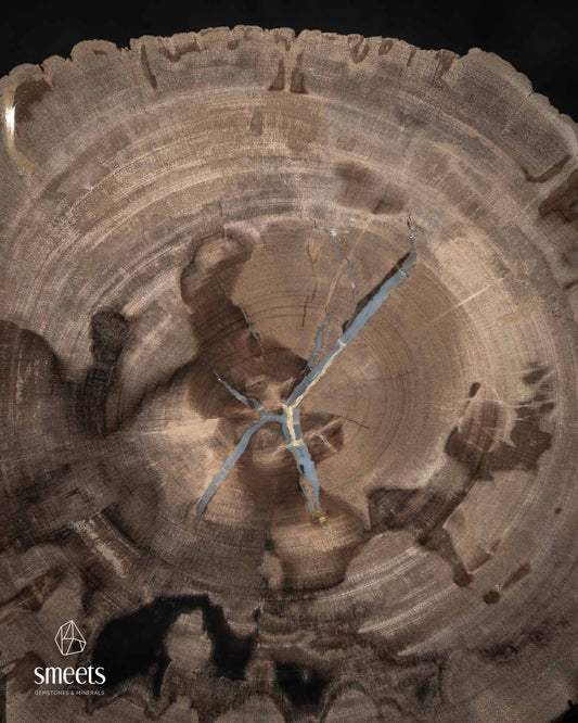 Thick Indonesian Petrified Wood Slice with Blue Chalcedony Vein and Raw Edges