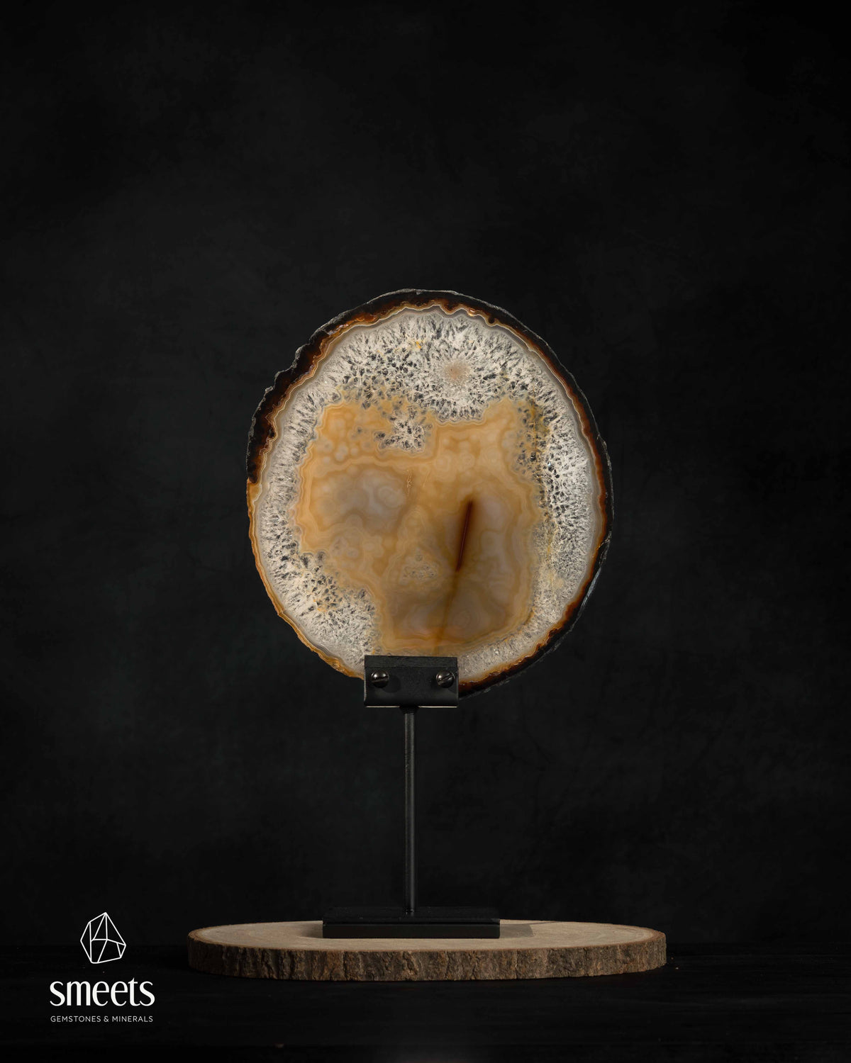 Elegant Brazilian Honey-Brown Banded Agate Slice with Crystal Border on Stand
