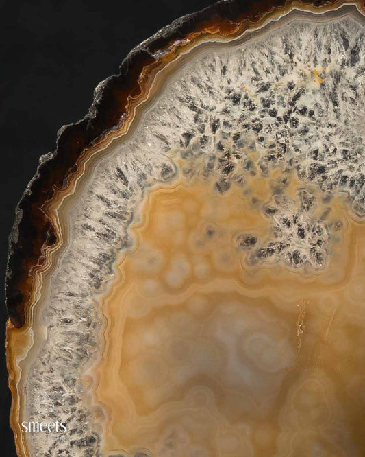 Elegant Brazilian Honey-Brown Banded Agate Slice with Crystal Border on Stand