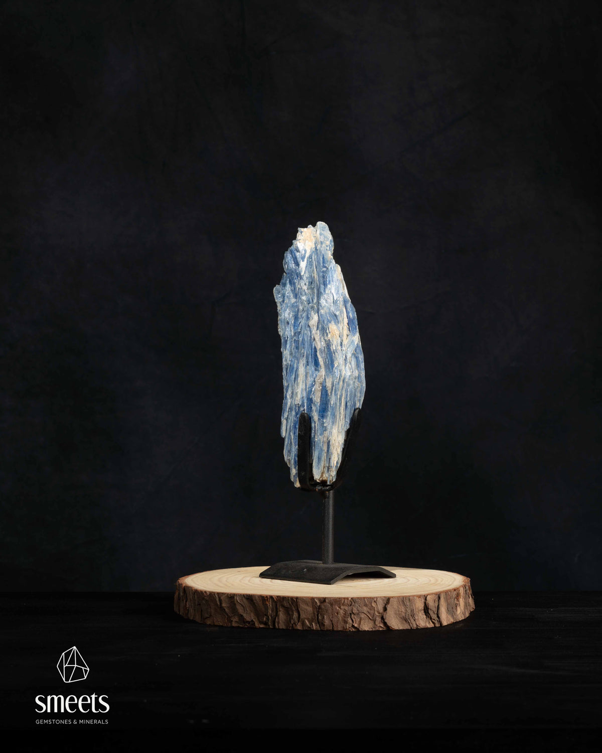 Beautiful Natural Blue Kyanite Crystal Formation on Metal Stand