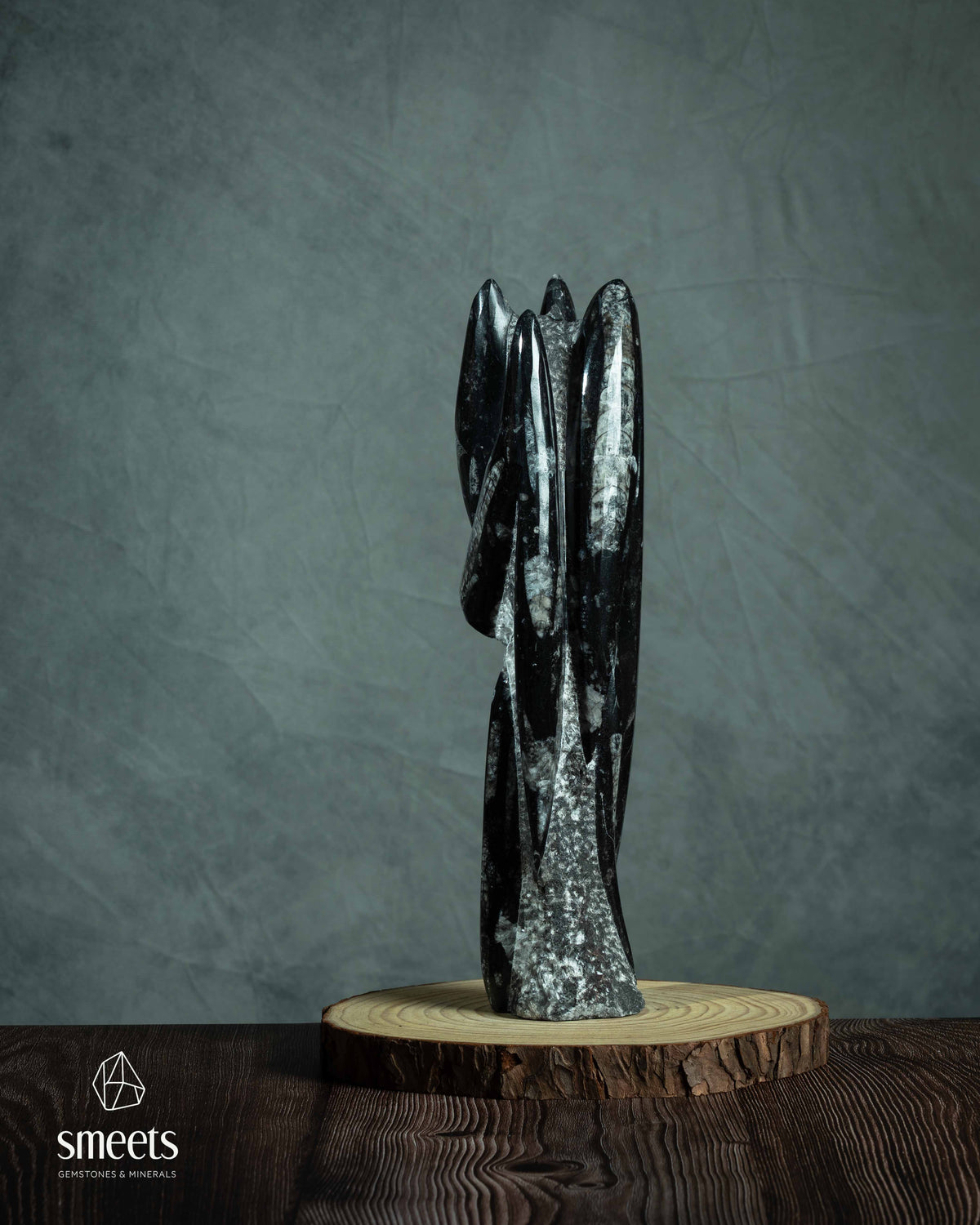 Large Moroccan Orthoceras Fossil Sculpture