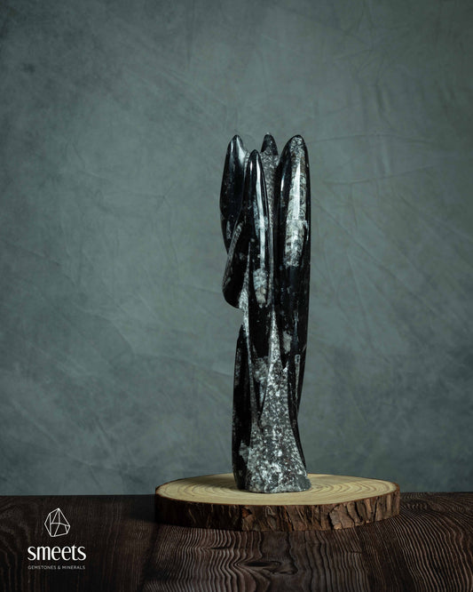 Large Moroccan Orthoceras Fossil Sculpture