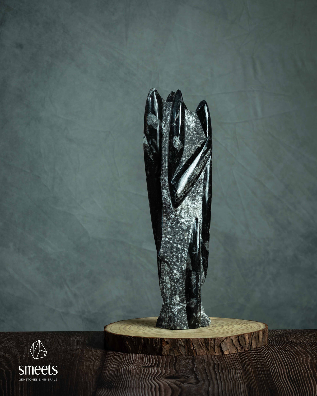 Large Moroccan Orthoceras Fossil Sculpture
