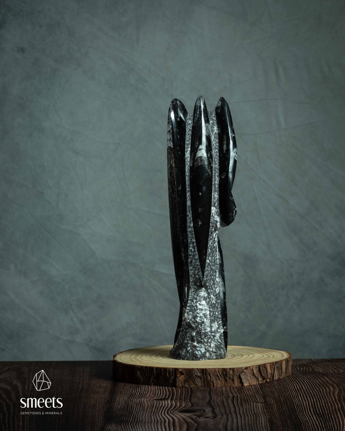 Large Moroccan Orthoceras Fossil Sculpture