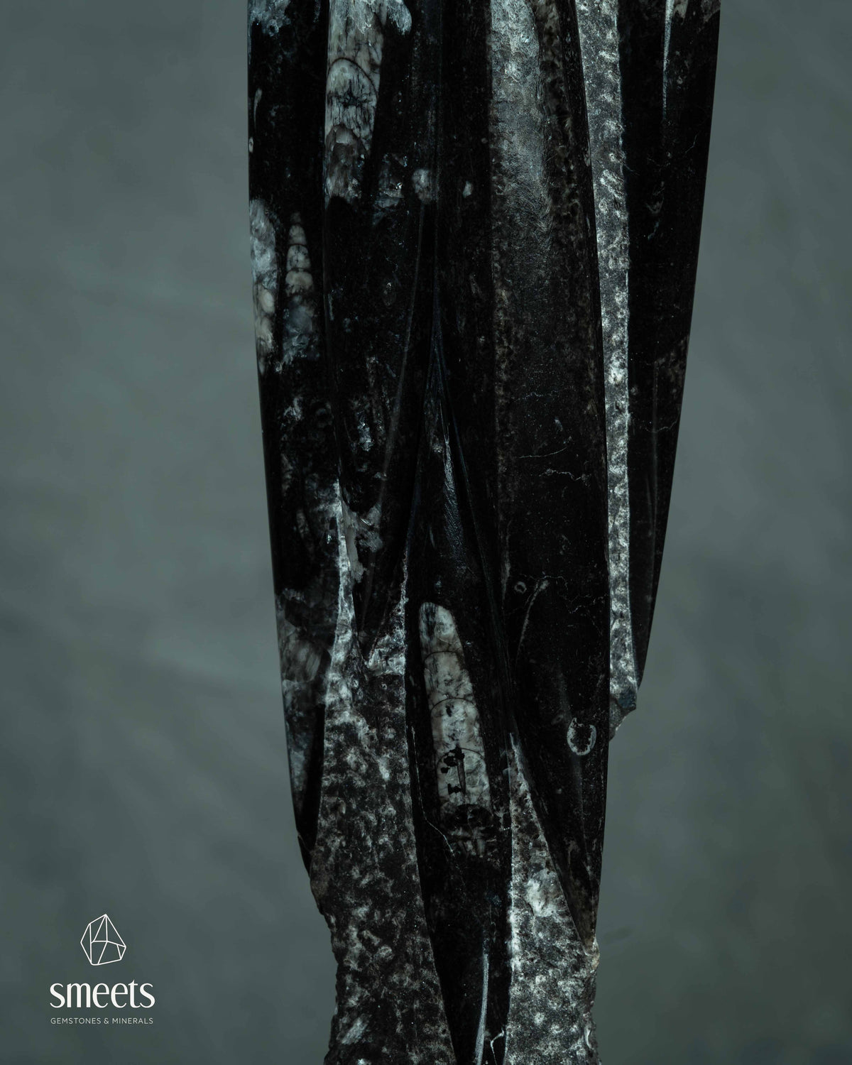 Large Moroccan Orthoceras Fossil Sculpture